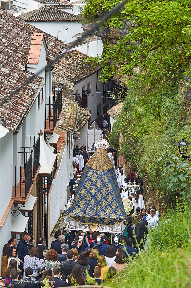 Mario G Vargas 2019 Domingo Virgen del Rosario Cantarería Detalles
