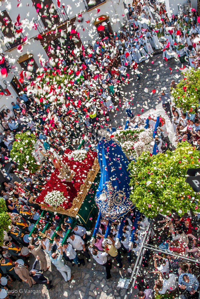 Mario Garcia Vargas 2015 Domingo Resucitado Pétalos